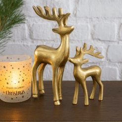 Alternative view of Rendier Taisto