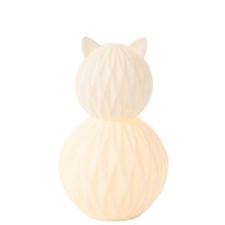 Nachtlamp kat