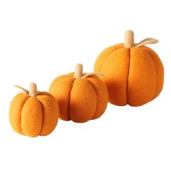 Pompoen groot formaat 1 stuk