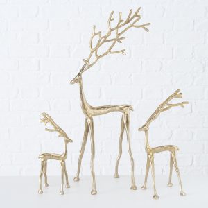 Hauptbild jKTDngzk zoom